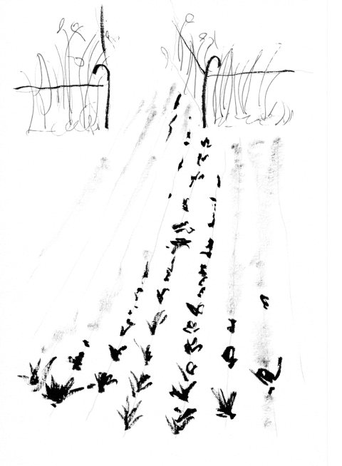 chant de touffes par Kajan (c)