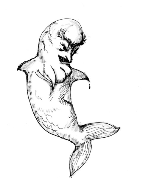 Alma de bacalhau par Kajan(c)