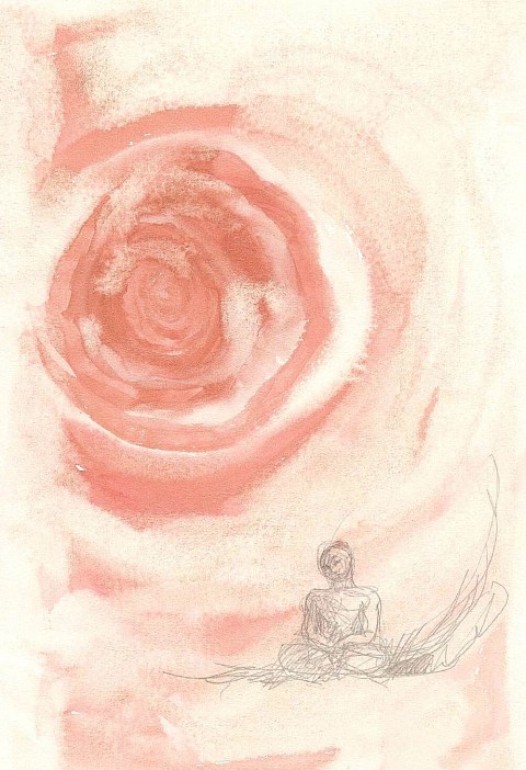 l'important c'est la rose