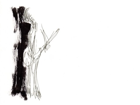 à côté de Dominique A