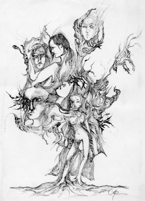 Kajan 1979 Kajan 1979