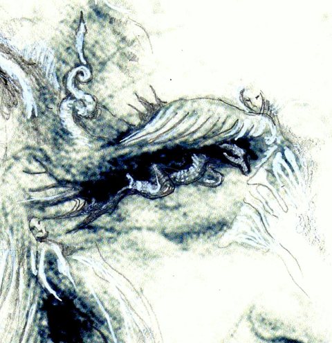 Léonard autoportrait rêvé par Kajan détail