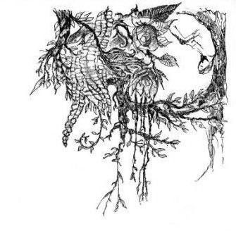 dedans ou dehors encore par Kajan(c)