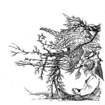 dedans ou dehors par Kajan(c)