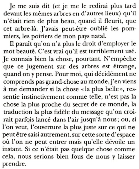 Jaccottet (extrait)