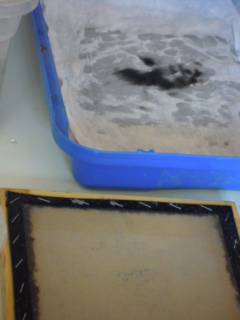 l'esprit du bac par Kajan(c)