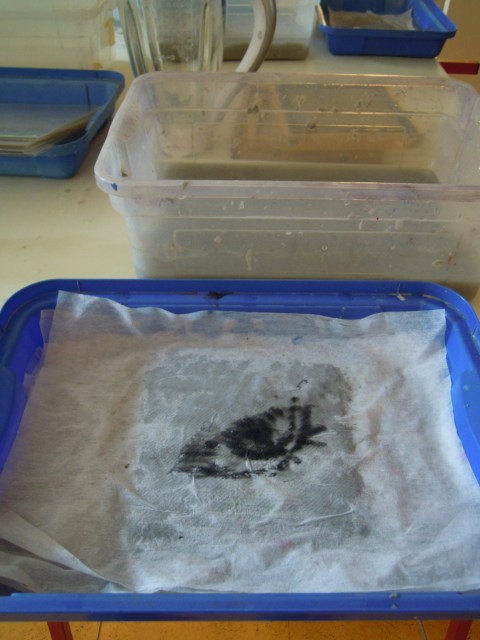 il nous regarde par Kajan(c)