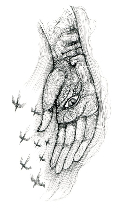 regard manuel retourné par Kajan(c)