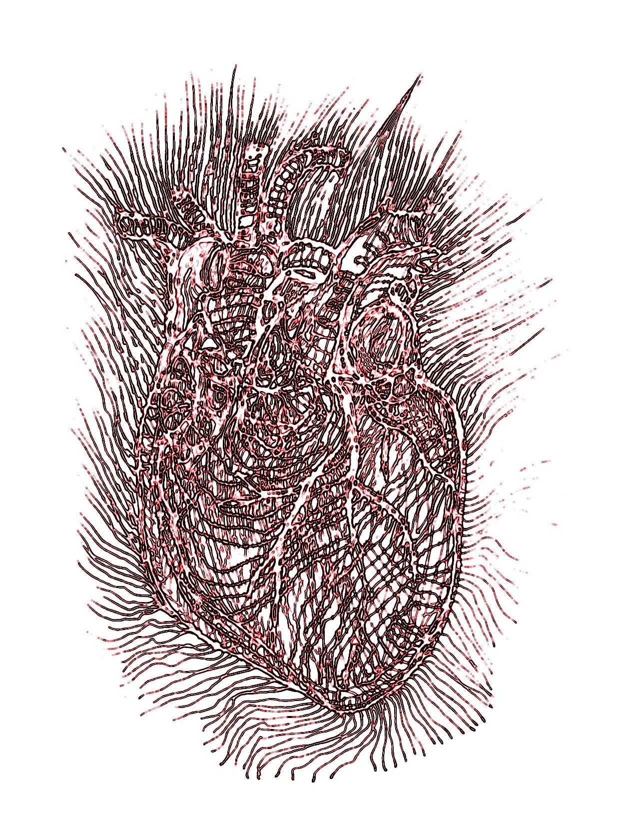 He art by Kajan(c)ultime