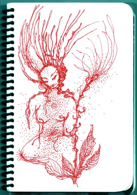 fleurs de carnet par Kajan(c)