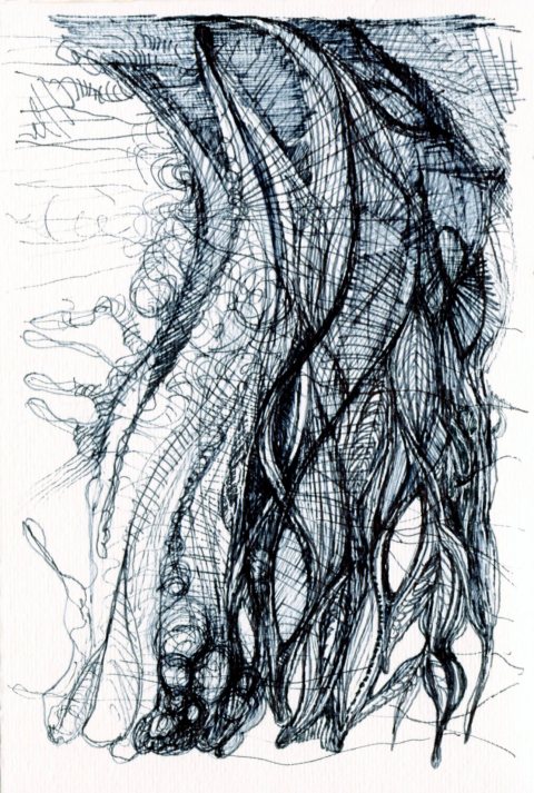 50+30 par Kajan (c) vice