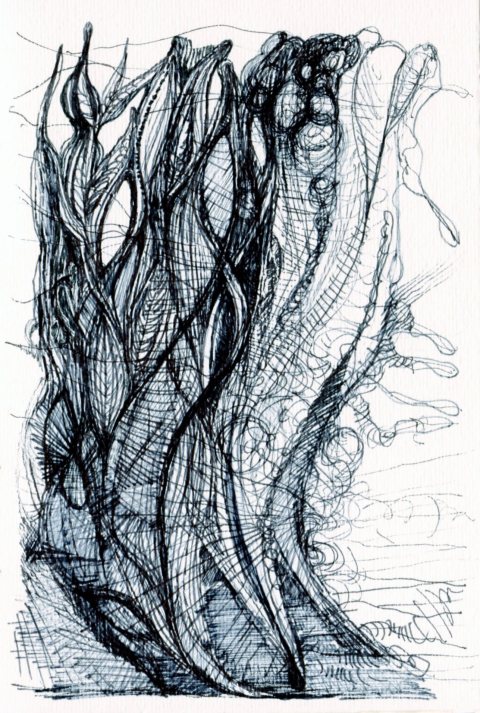 50+30 par Kajan(c) versa