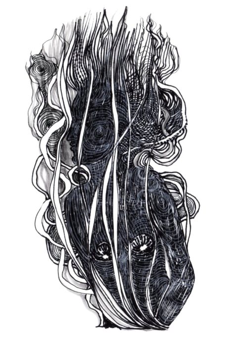 profil en spirales par Kajan(c)