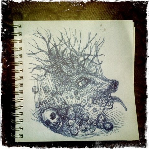 cerf inopiné par Kajan(c)