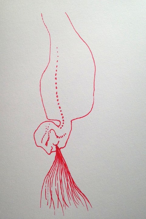 pendu l'air du 20 juillet par Kajan(c)