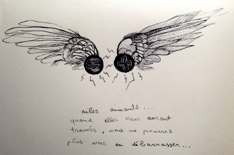 ailes aimants par Kajan(c)