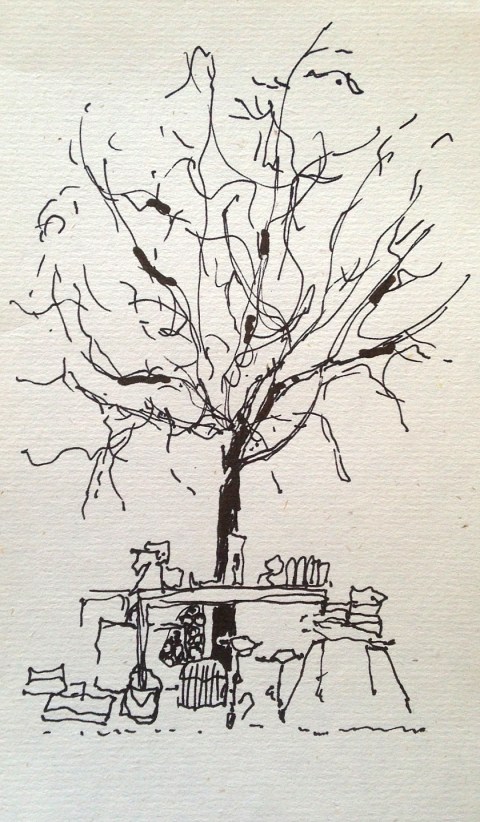 sous l'arbre par Kajan(c)