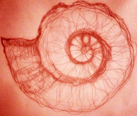 coquillage par Kajan(c)