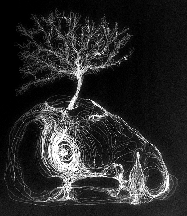 Gravenstein schwarz par Kajan©