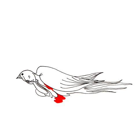 la blessure du 29 mars par Kajan(c)