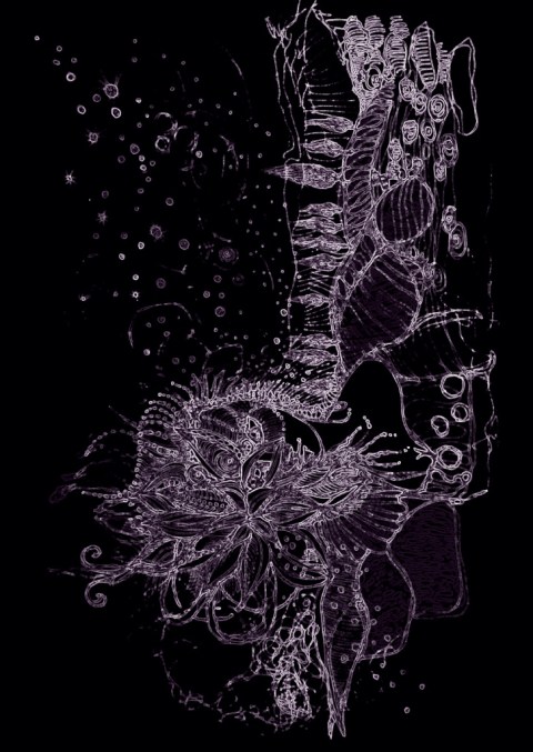 Bourgogne radiograhiée par Kajan(c) 