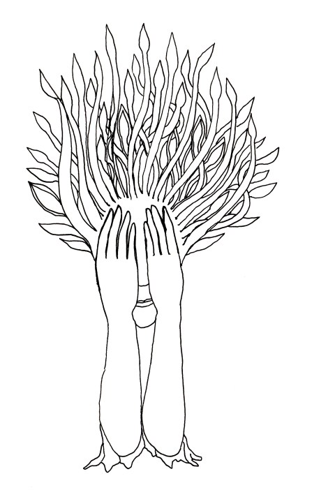 dessin 22avril2016 par Kajan(c)