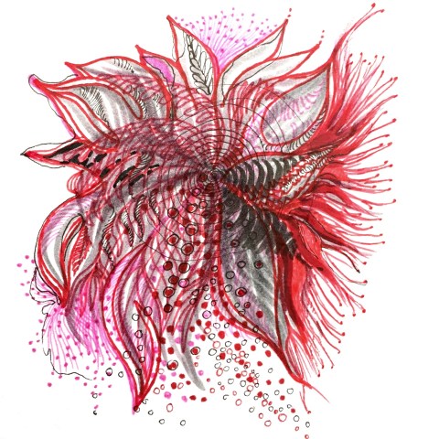 premier mais par Kajan(c)