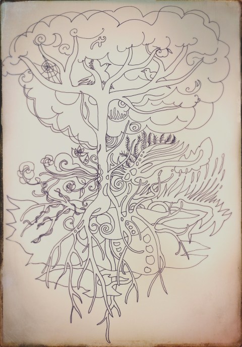 jardin-fore%cc%82t-par-kajanc