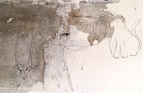 dega%cc%82ts-dho-par-kajanc