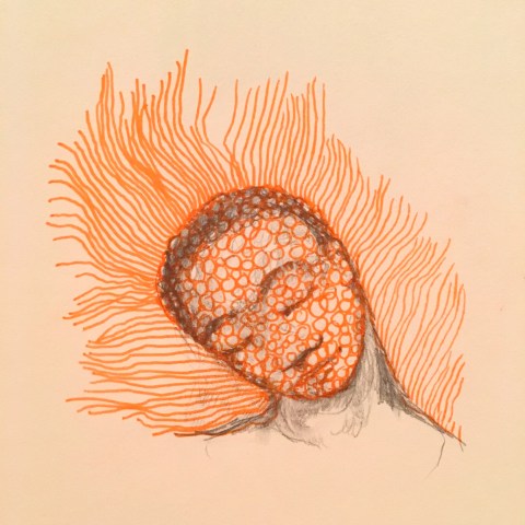 orange-moleculaire-par-kajanc