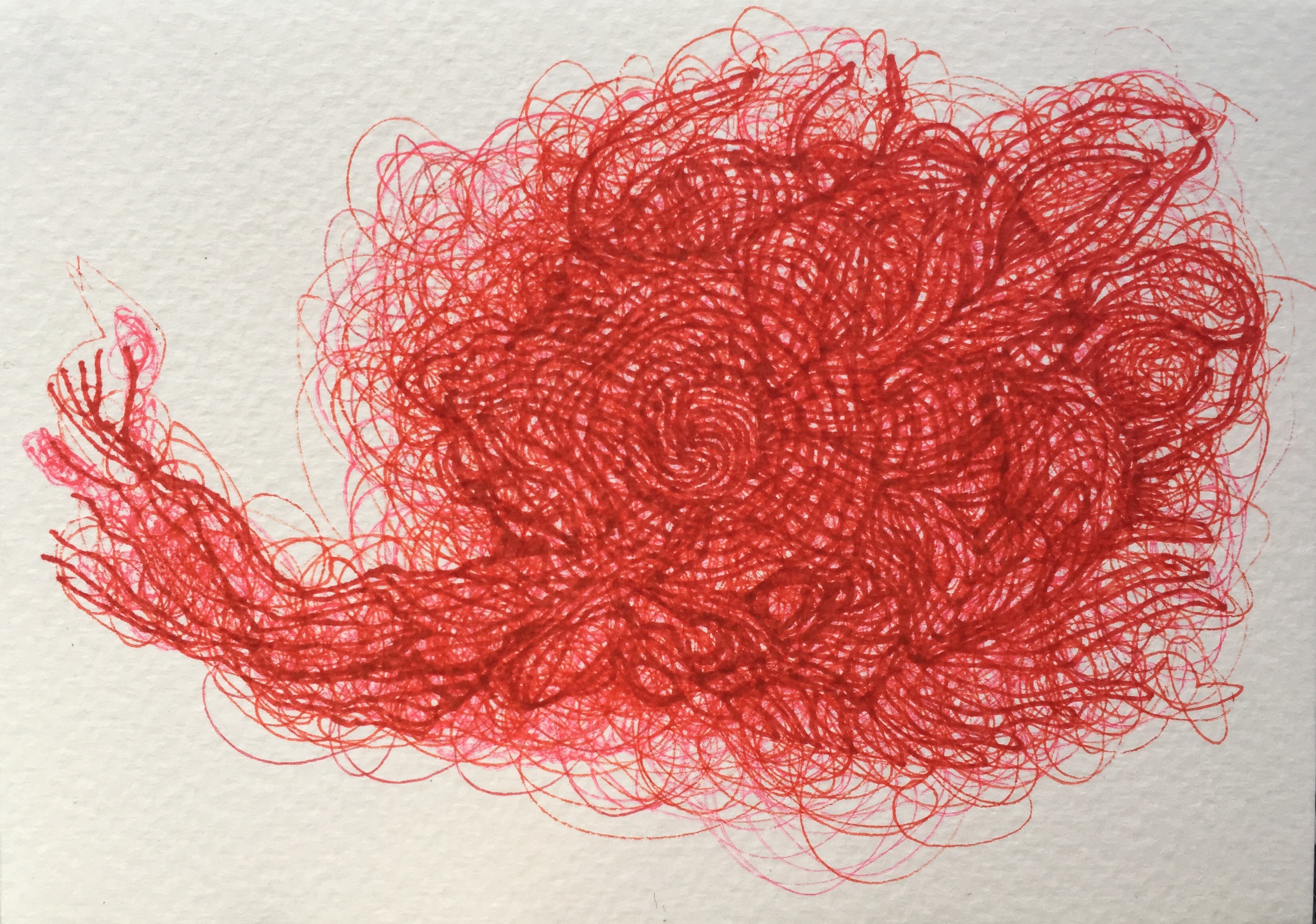 escargot par Kajan(c)