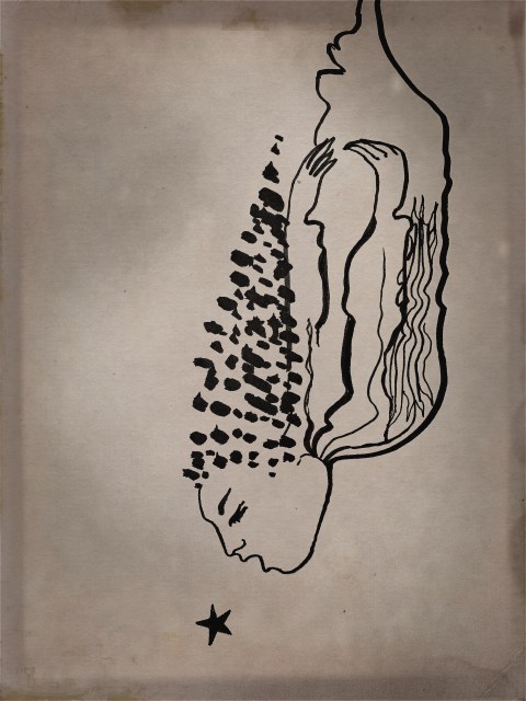 l'étoile toute crue par Kajan(c)