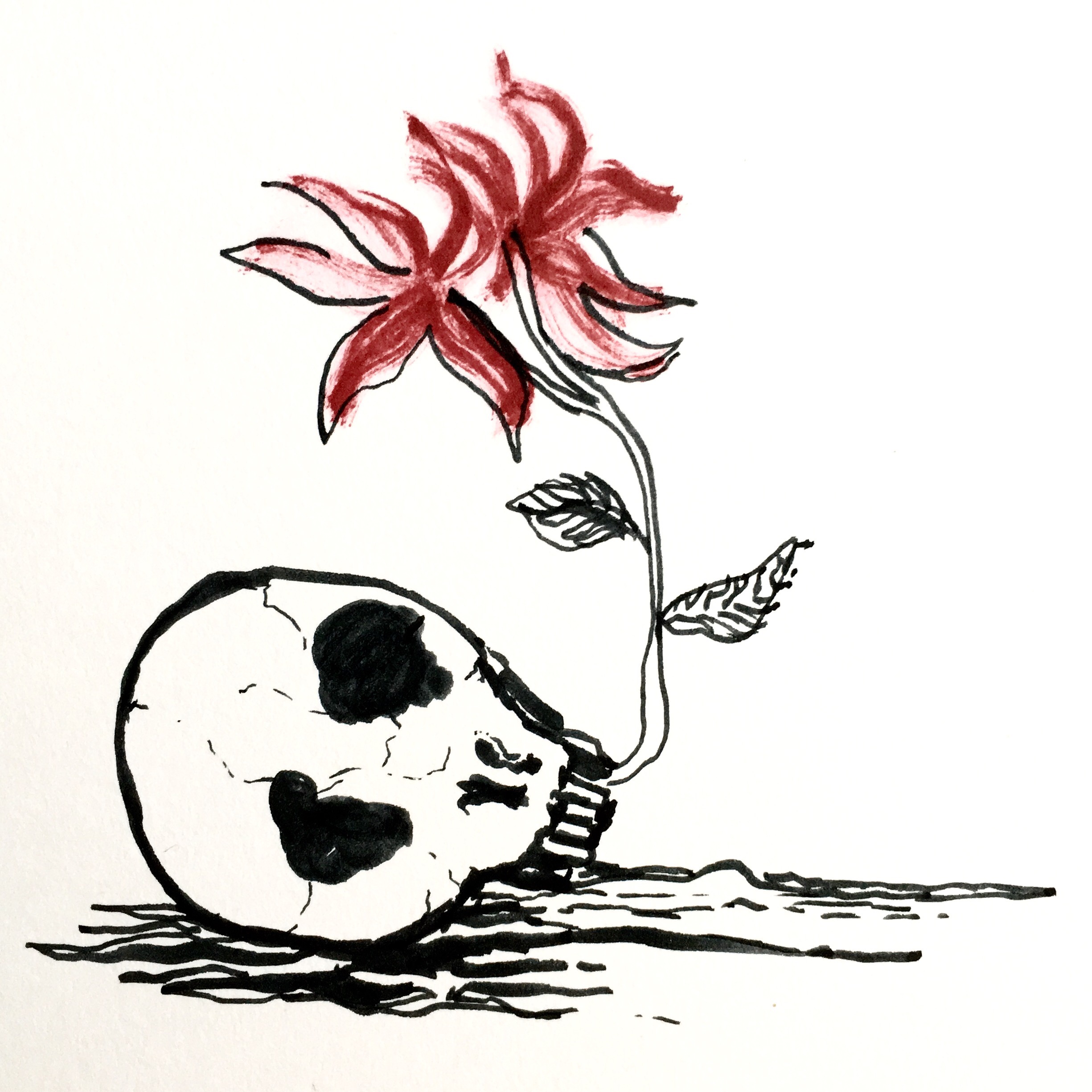 vanité par Kajan(c)