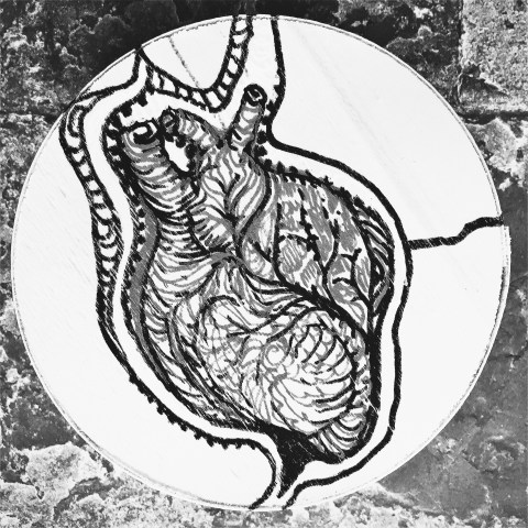 coeur en sapin par Kajan(c)