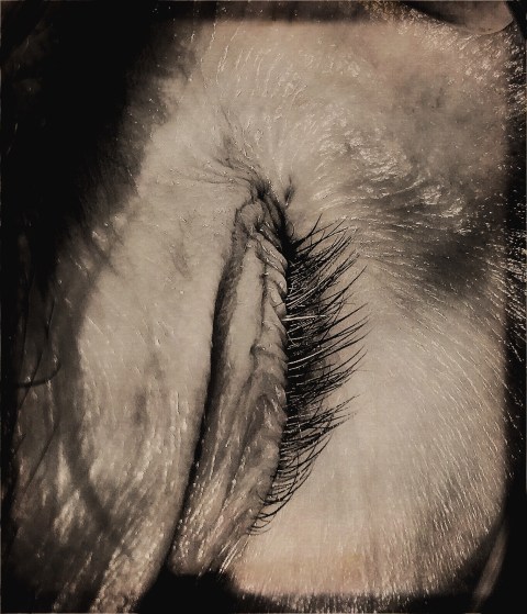 j'ai cherché le troisième par Kajan(c)