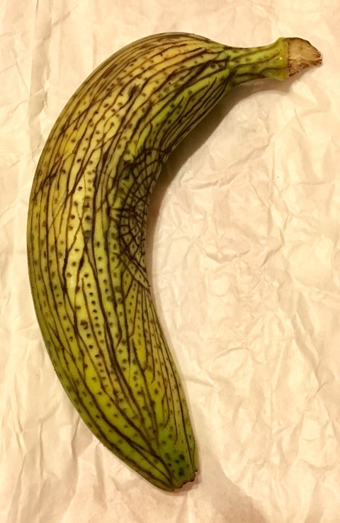 banane gravée par Kajan(c)
